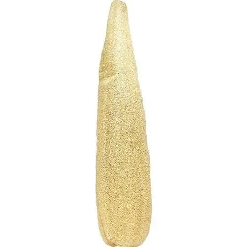 Kabak Lifi ~55 Cm resmi