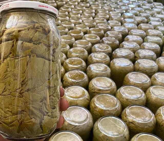 ASMA YAPRAĞI CAM KAVANOZ 2 LİK PET İÇİNDE NET 1 KG