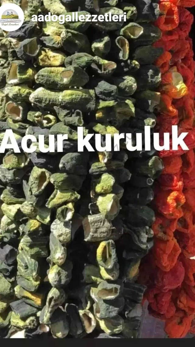 ACUR KURULUK 1 İP