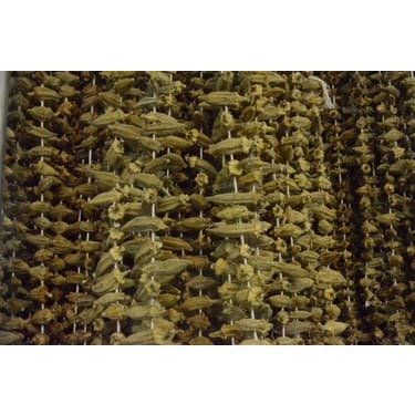 BAMYA 100 GR POŞET