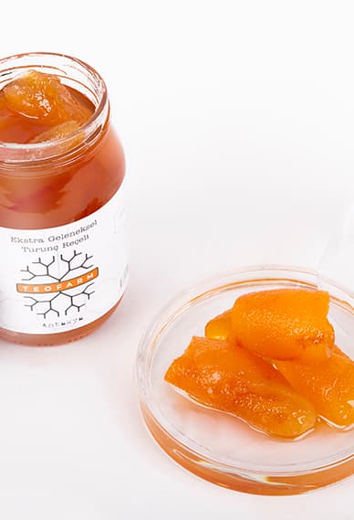 TURUNÇ REÇELİ 450 GR