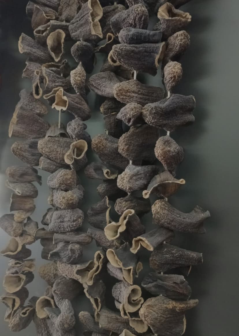 Kuru Patlıcan 1 bağ (45-50 adet) resmi