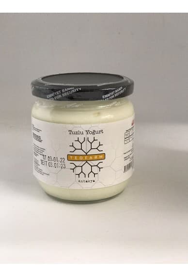 TUZLU YOĞURT 440 GR