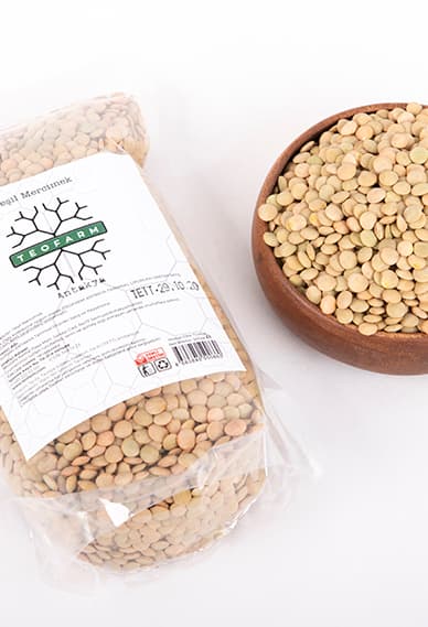 YEŞİL MERCİMEK 500 GR resmi