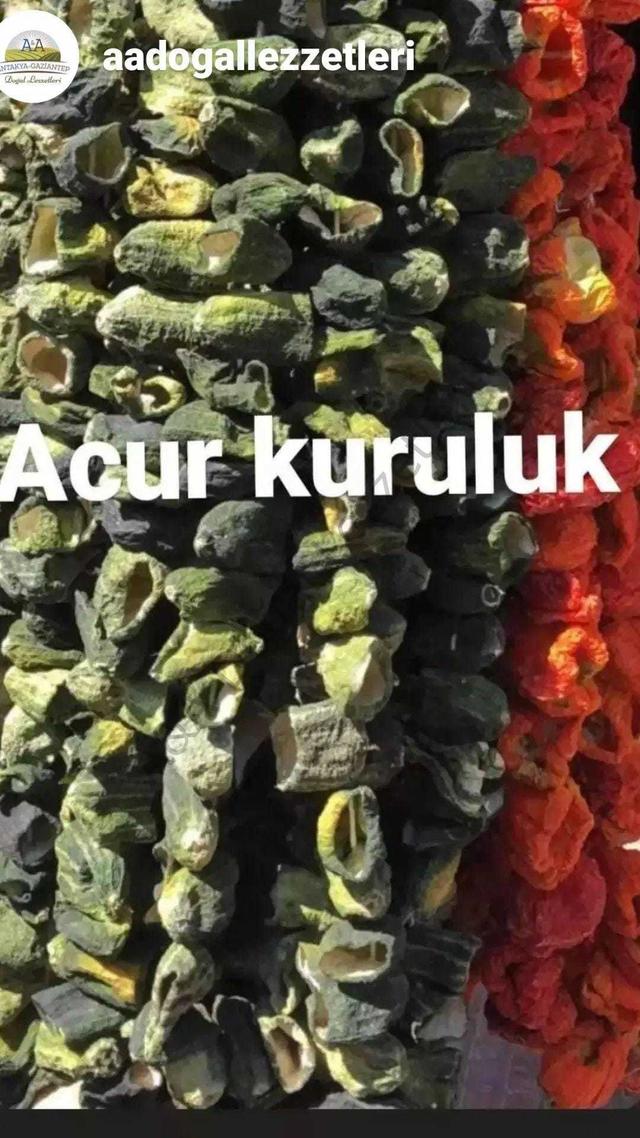ACUR KURULUK 1 İP